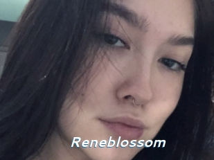 Reneblossom
