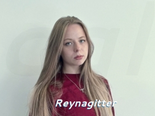 Reynagitter
