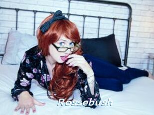 Rossebush
