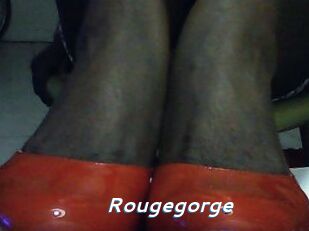 Rougegorge