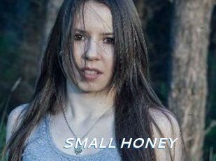 SMALL_HONEY
