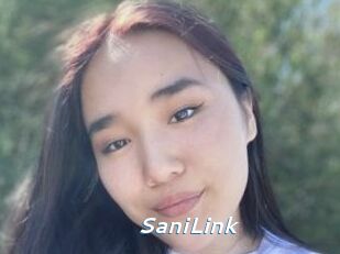 SaniLink