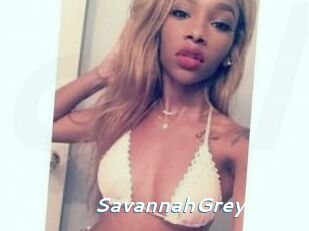 Savannah_Grey