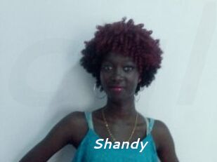 Shandy