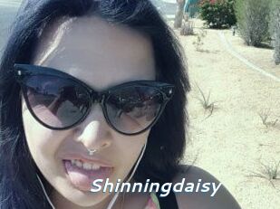 Shinningdaisy