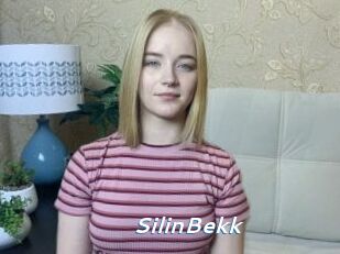SilinBekk