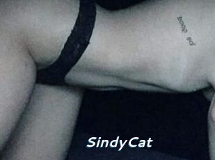SindyCat