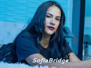 SofiaBridge