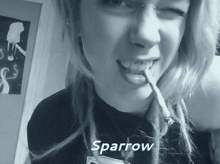 Sparrow