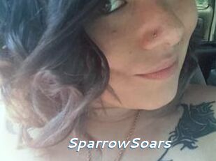 SparrowSoars