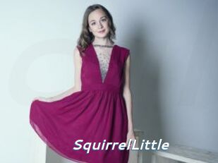 SquirrelLittle