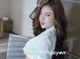 SterlingNguyen