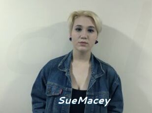 SueMacey Camgirls Live