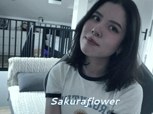 Sakuraflower