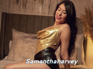 samanthaharvey Camgirls Live