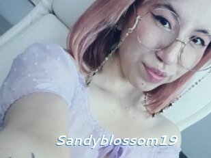 Sandyblossom19