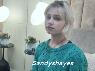 Sandyshayes