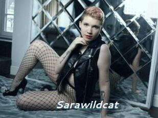 Sarawildcat