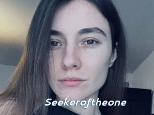 Seekeroftheone