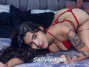 Sellyledger