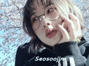 Seosoojin