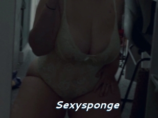 Sexysponge