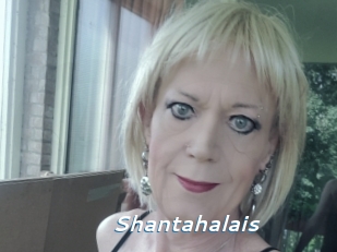 Shantahalais