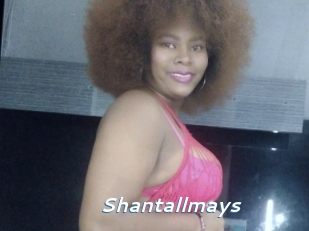 shantallmays Camgirls Live