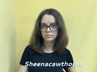 sheenacawthorne Camgirls Live