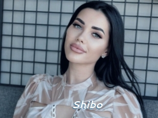 Shibo
