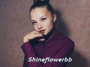 Shineflowerbb