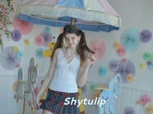 Shytulip