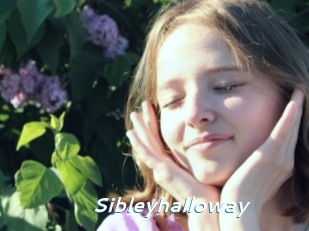 Sibleyhalloway