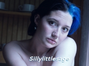 Sillylittlesage