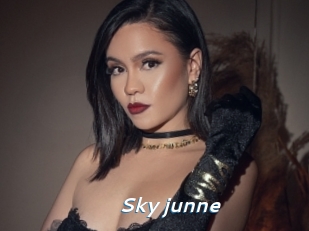 Sky_junne