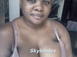 Skybirdxx