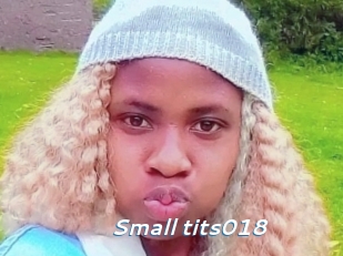 Small_tits018