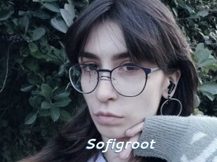 Sofigroot