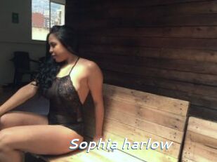 Sophia_harlow