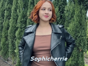 Sophicherrie