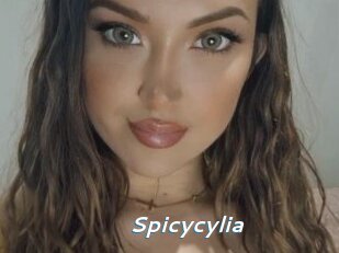 Spicycylia