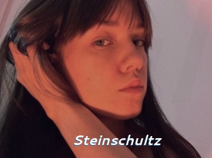 Steinschultz
