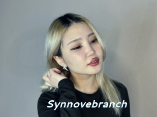 Synnovebranch