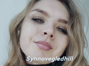 Synnovegledhill