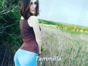Tammilla_