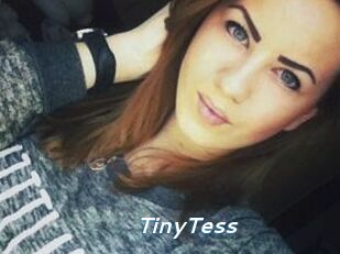 TinyTess