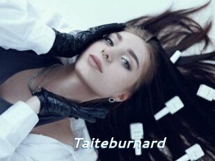 Taiteburnard
