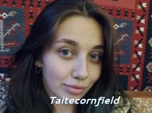 Taitecornfield