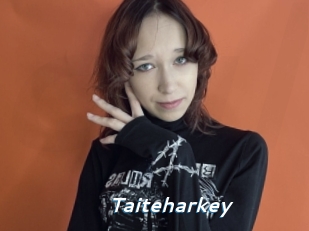 Taiteharkey