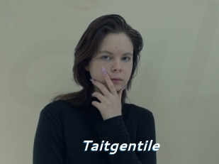 Taitgentile